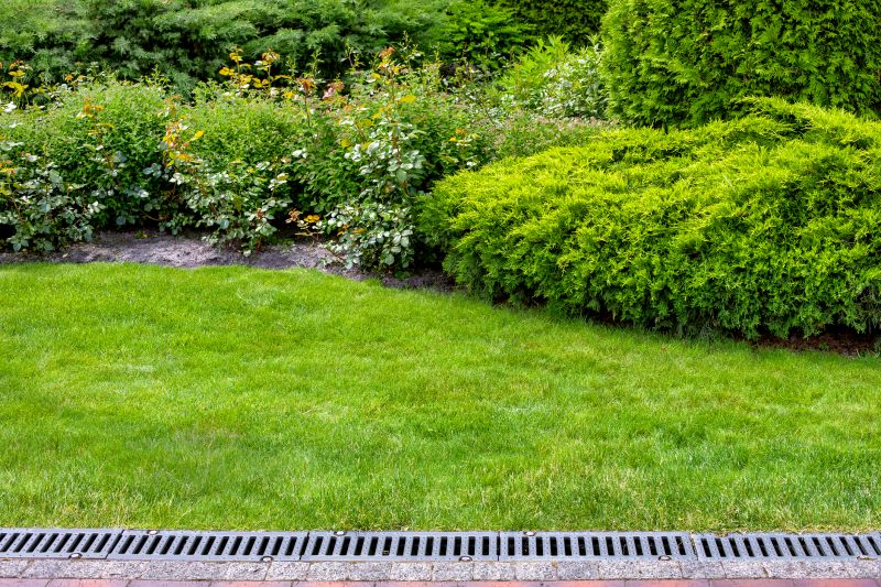 Landscape Drainage Service detail